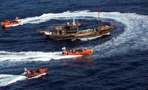 渔船黑暗爆料视频大全集,渔船爆料视频大全集深度解析 第1张 渔船黑暗爆料视频大全集,渔船爆料视频大全集深度解析 第1张