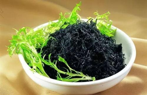 紫菜制作爆料视频教程全集,从零开始，轻松学会紫菜美食制作全过程  第1张